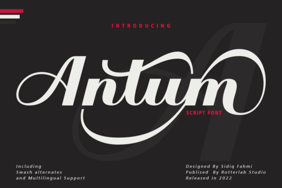 Antum Font Review: A Vintage Bold Script for Creative Makers