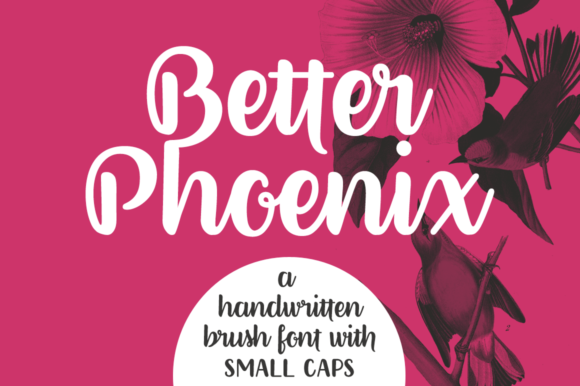 Better Phoenix Font Review: A Polished Script for Creative Branding