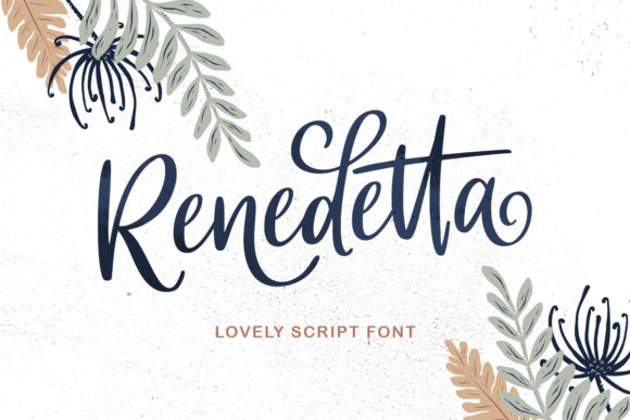 Renedetta Font Review for Creative Web Designers