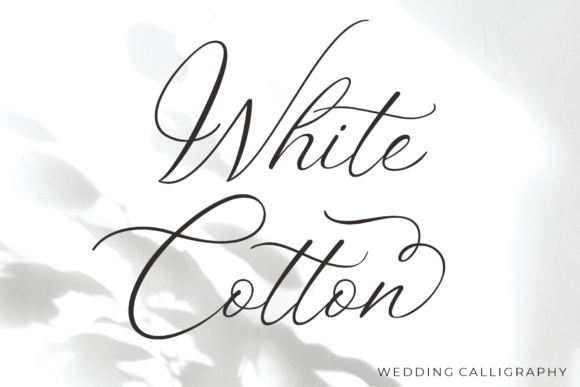 White Cotton Font Review: Elegant Script for Modern Design