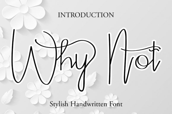 Why Not Font for Editorial Design and Creative Typography